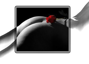 Erotische Kunst Der Rosen - Sitzung 1 #2909616