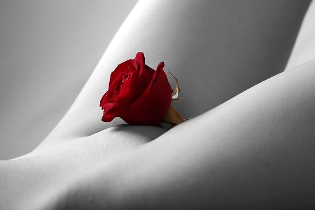 Erotic Art of Roses - Session 1 #2909622
