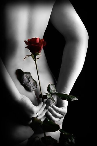 Erotic Art of Roses - Session 1 #2909745