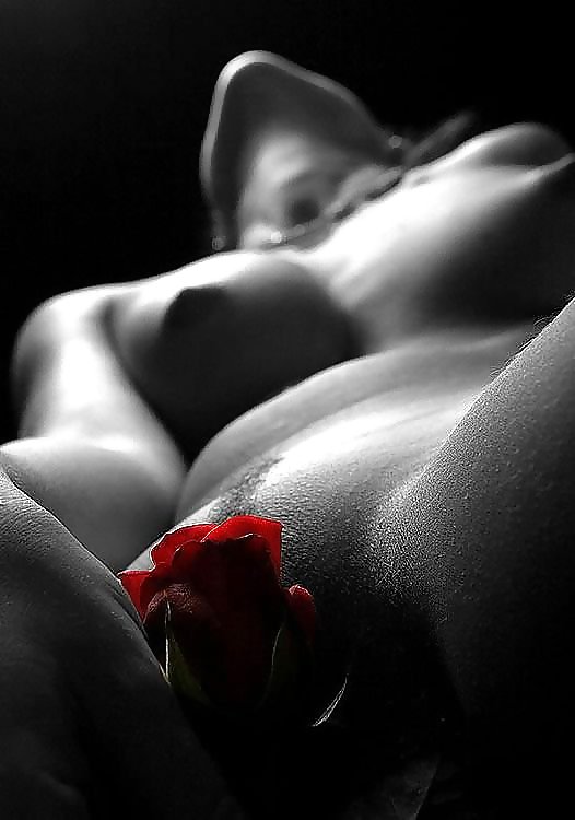 Erotische Kunst Der Rosen - Sitzung 1 #2909767