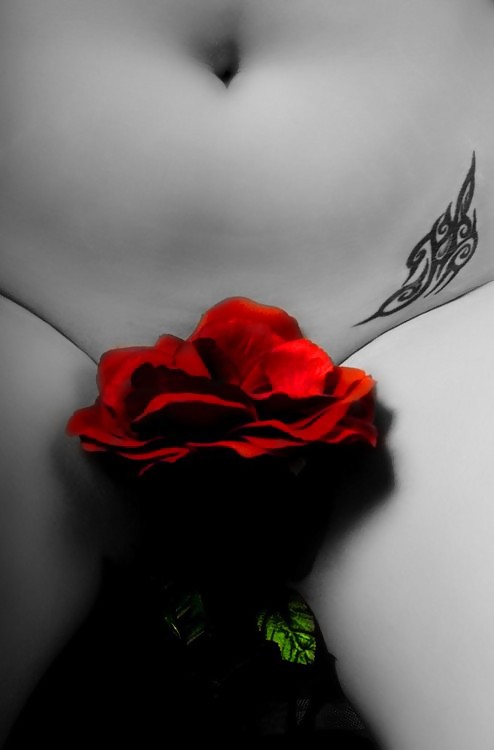 Erotic Art of Roses - Session 1 #2909774