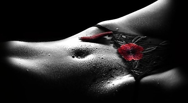 Erotic Art of Roses - Session 1 #2909780