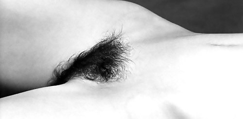Hairy pussies! #9569062