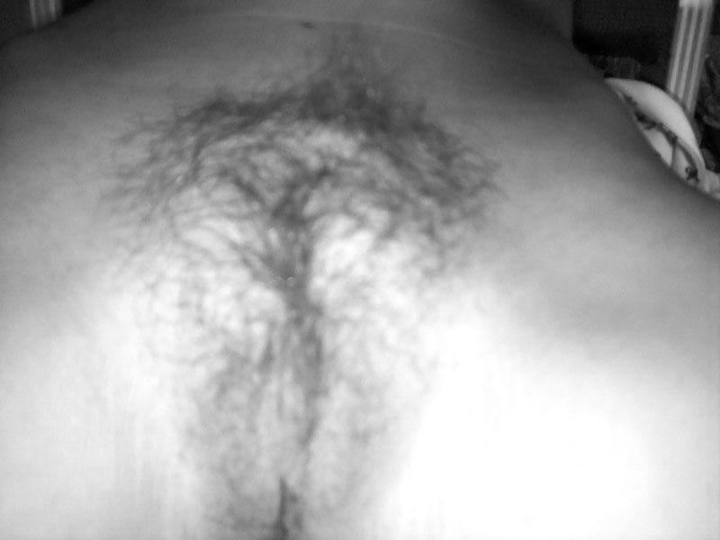 Hairy pussies! #9569118