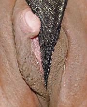 Belas ratas #9458439