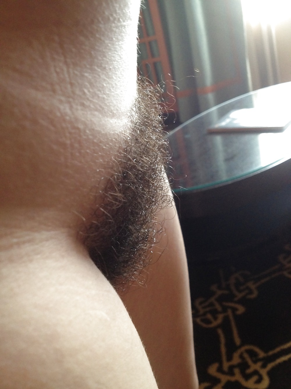 Give me some hairy pussy #21537223