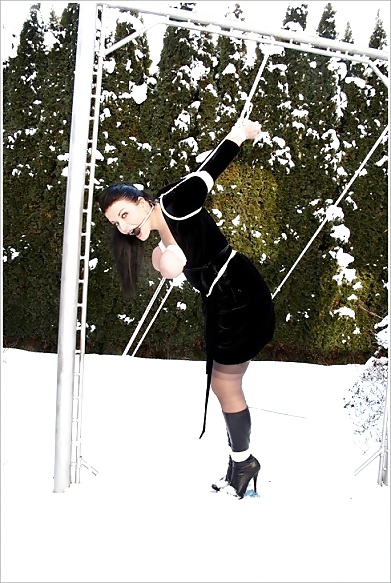 BDSM in the snow #15458210