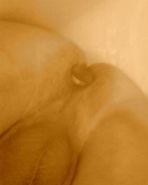 My anal toys
