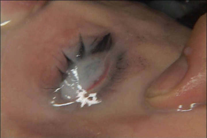 pool of cum-Milky Cat  #4504220