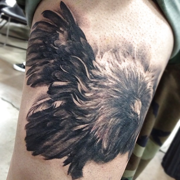 (Bd) Vielleicht Nur Eine Tätowierung Pt.3 #21726514