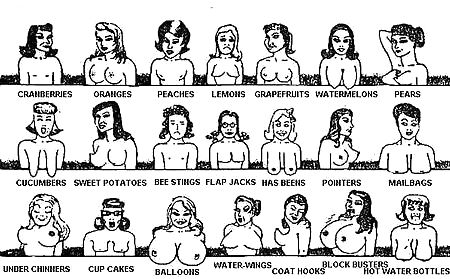 Comic breast chart #9261046