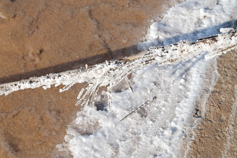 Túnez - chott el jerid
 #30267276