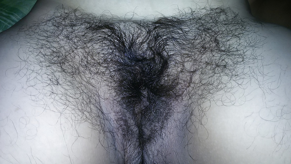 Minha linda cabeluda
 #39356861