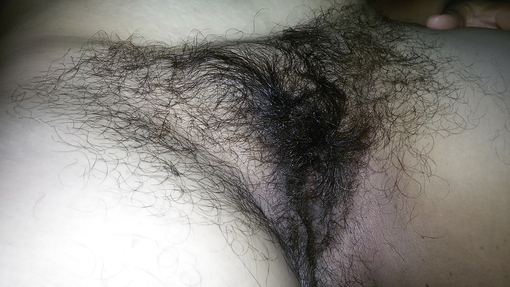 Minha linda cabeluda
 #39356869