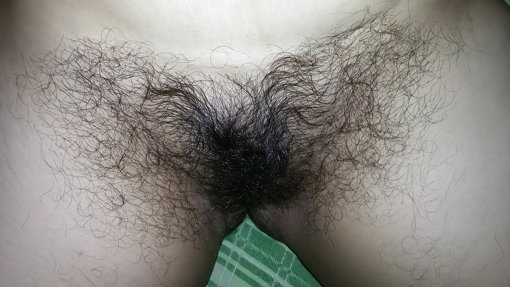 Minha linda cabeluda
 #39356885