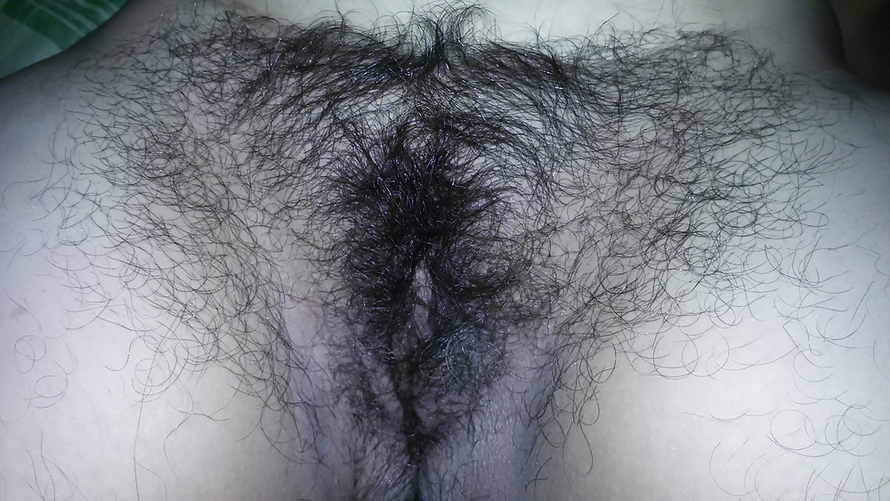 Minha linda cabeluda
 #39356899