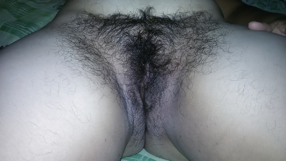 Minha linda cabeluda
 #39356927