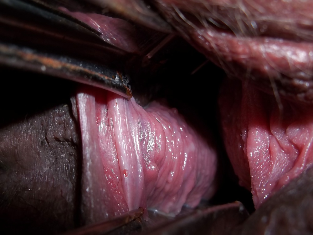 Gaping with Tongs #27747993