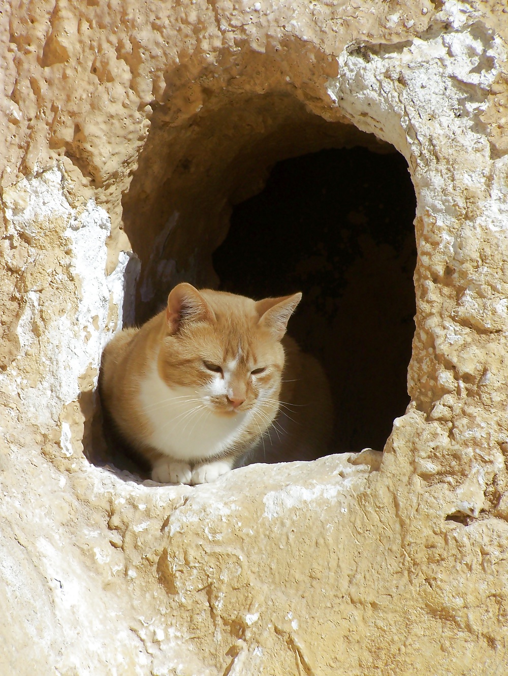 Tunesien - star wars kulissen
 #30714729