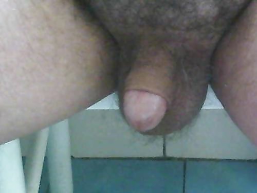 My cock5 #33811123
