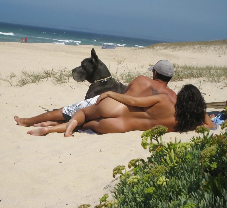 Heiße Nixen Und Strand Hasen + Mehr Außen CII #30358856