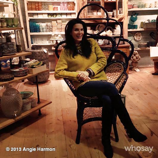 Angie Harmon mega collection  #33082090