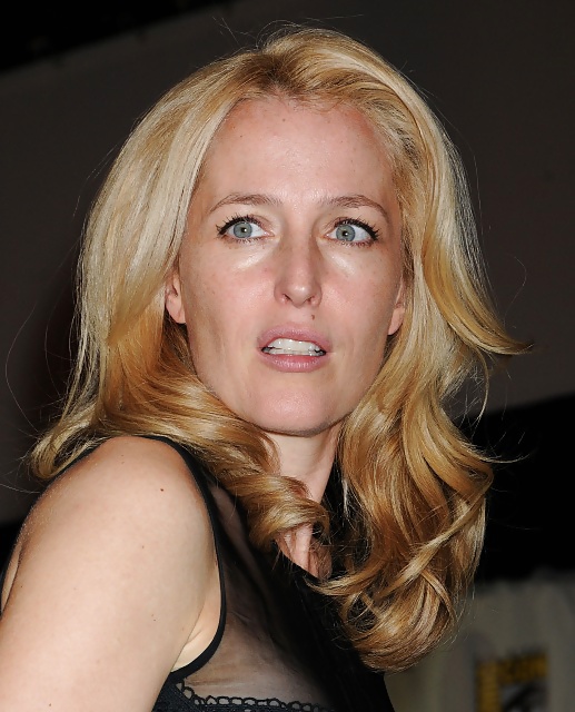 Gillian Anderson #29626432