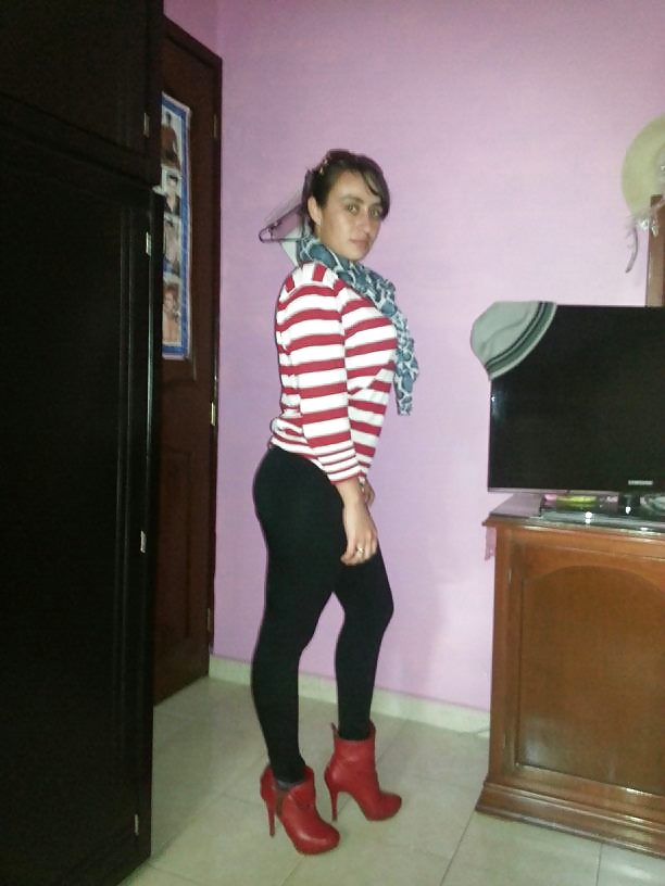 MIS ZORRITAS FAVORITAS #24869755