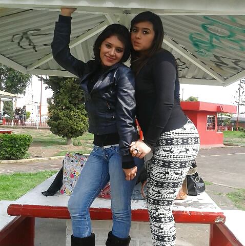 MIS ZORRITAS FAVORITAS #24869763