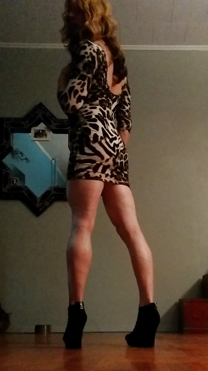 Kitti Cross on the prowl #39768072