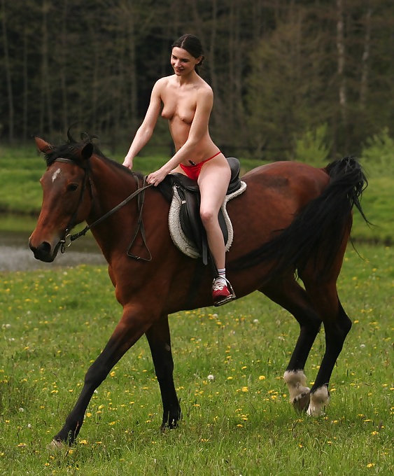 Babes On Horses #31790525