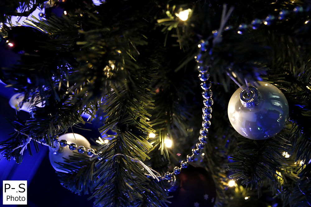 私のレーベン、私のカメラと私
 #39294288