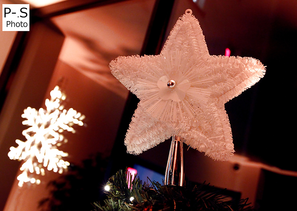 私のレーベン、私のカメラと私
 #39294302