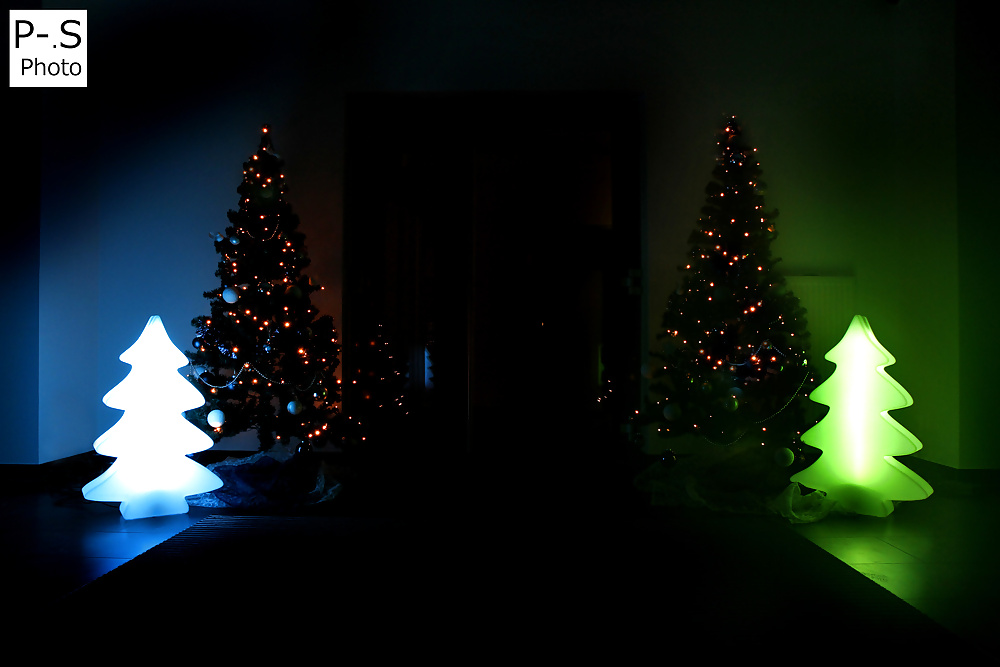 私のレーベン、私のカメラと私
 #39294309