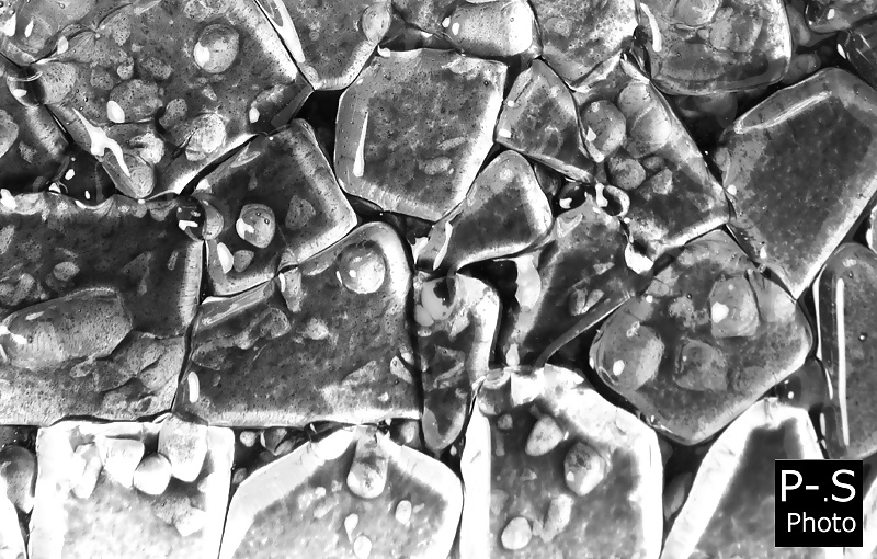 私のレーベン、私のカメラと私
 #39294351