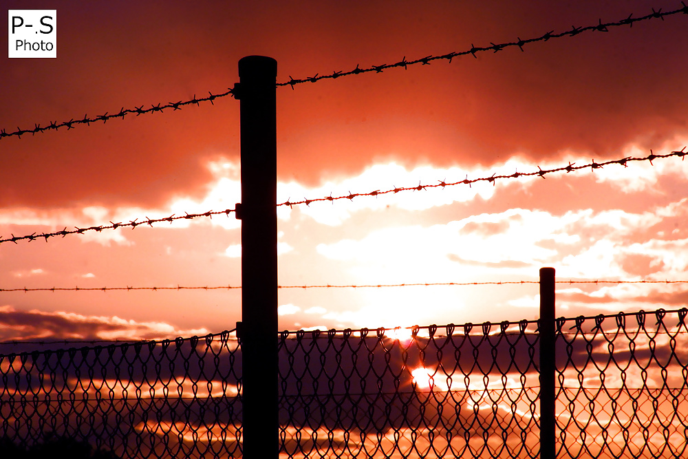 私のレーベン、私のカメラと私
 #39294384