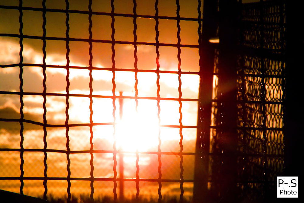 Mein leben, meine kamera und ich
 #39294400