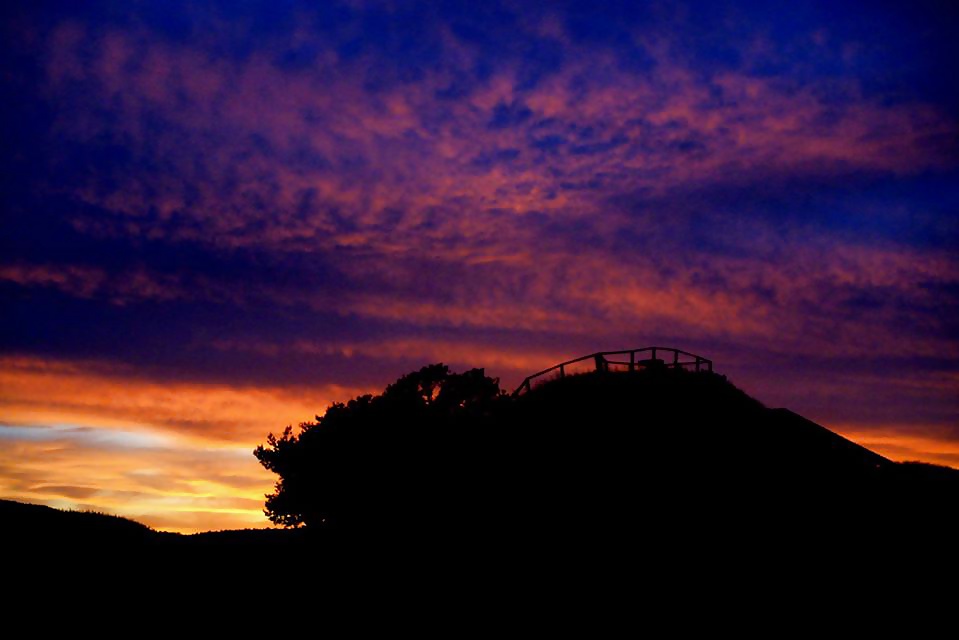 私のレーベン、私のカメラと私
 #39294437