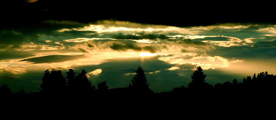 私のレーベン、私のカメラと私
 #39294472