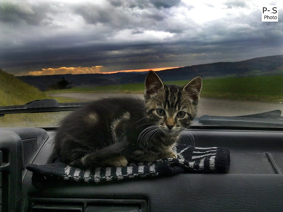 私のレーベン、私のカメラと私
 #39294481