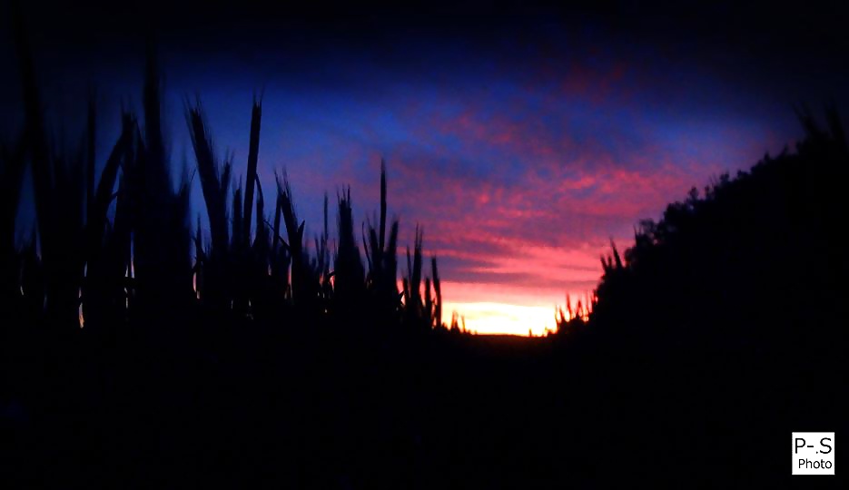 私のレーベン、私のカメラと私
 #39294487