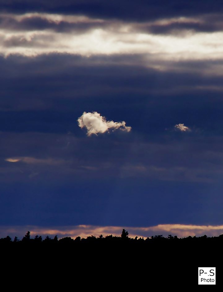 私のレーベン、私のカメラと私
 #39294596