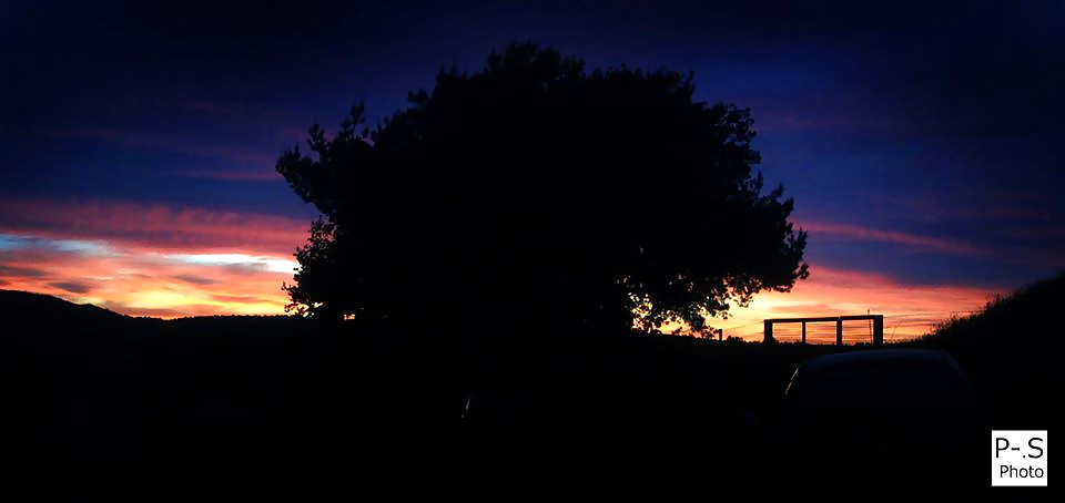 私のレーベン、私のカメラと私
 #39294602