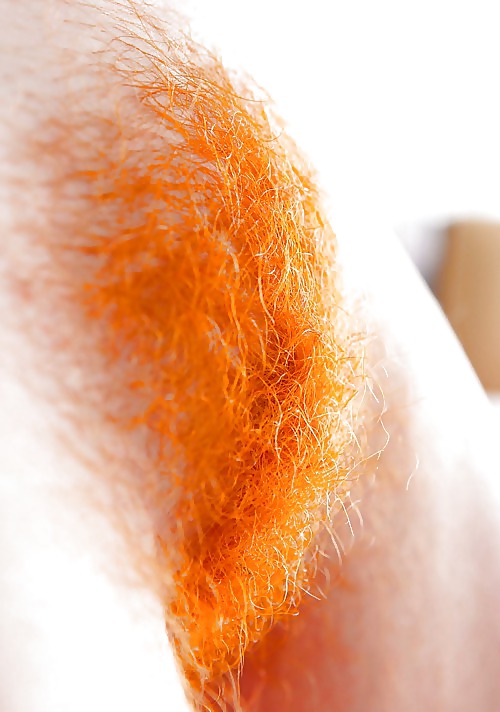 Bilder, Die Mich Schwer Machen #23925176