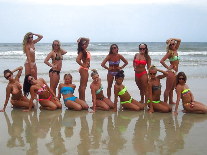 The beach #28473215