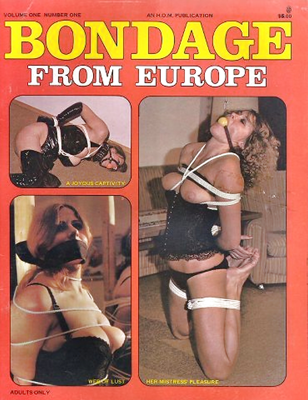 My Vintage Bondage Magazines (covers ) Part 2 #24511783