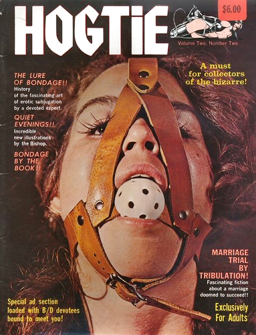 My Vintage Bondage Magazines (covers ) Part 2 #24512476