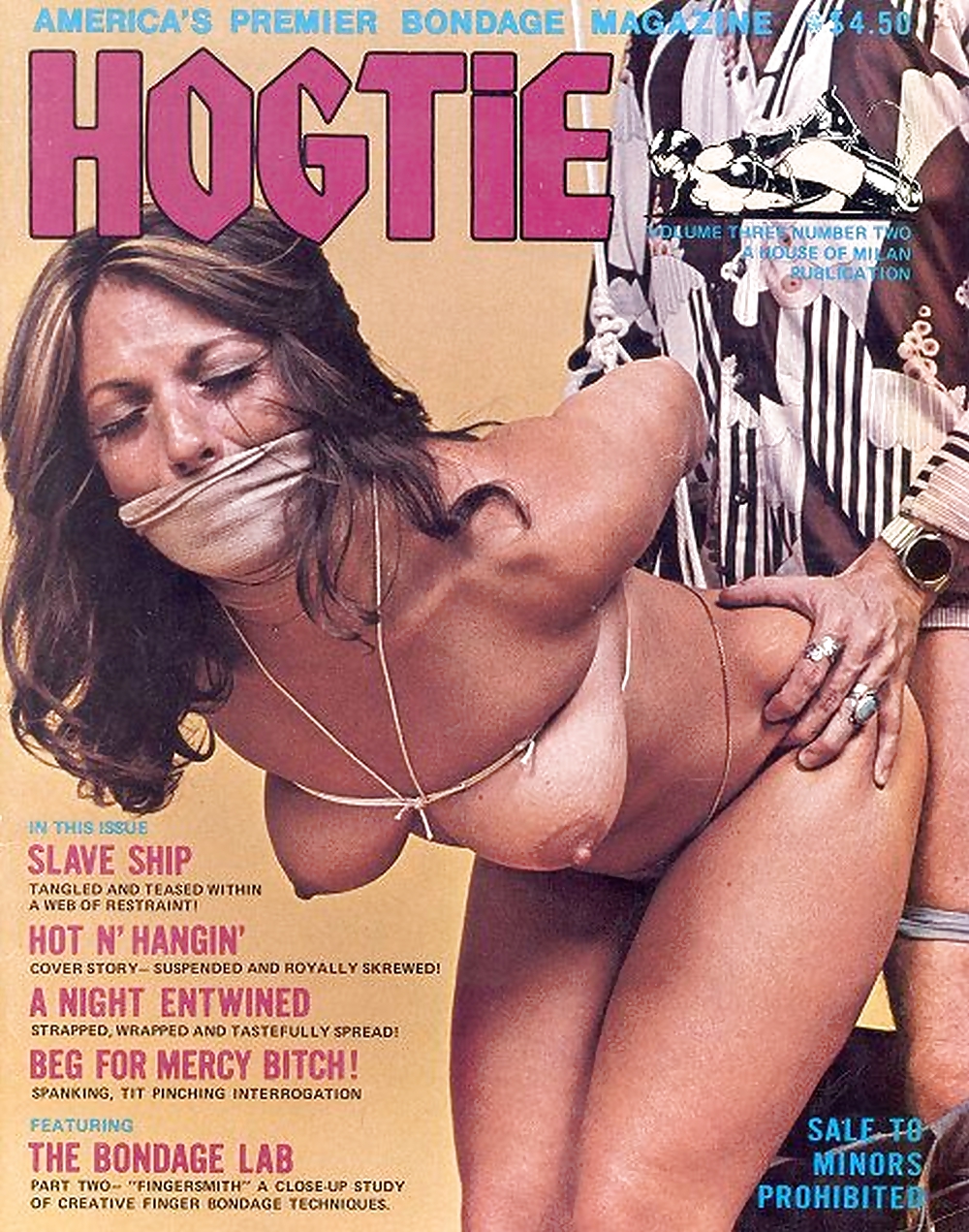 Le mie riviste bondage vintage (copertine) parte 2
 #24512518