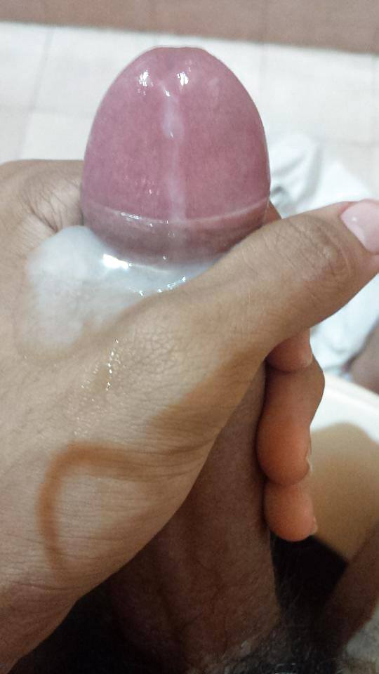 Punjabi indan cock
 #23485257