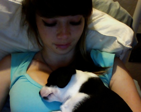 Bunnycuddle #39292359